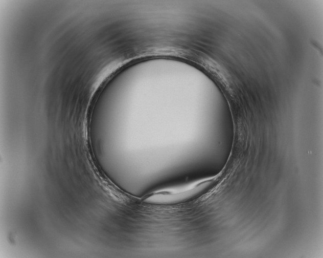 X0000097771328200803281631