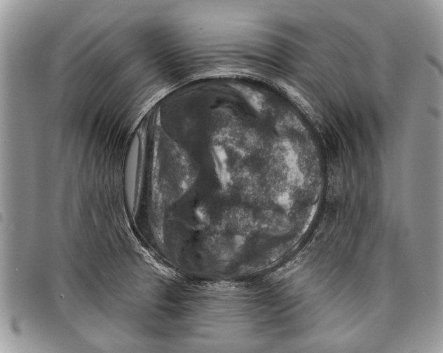 X0000097771329200803281631