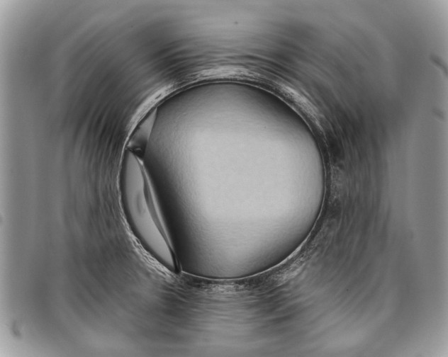 X0000097771330200803281631