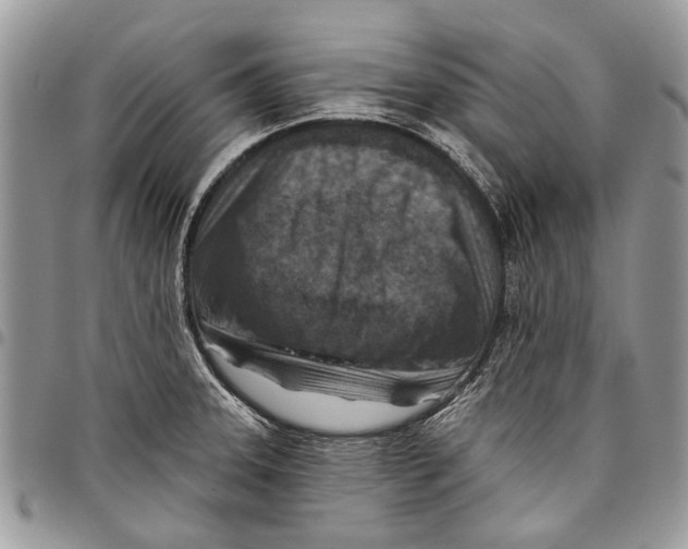 X0000097771331200803281631