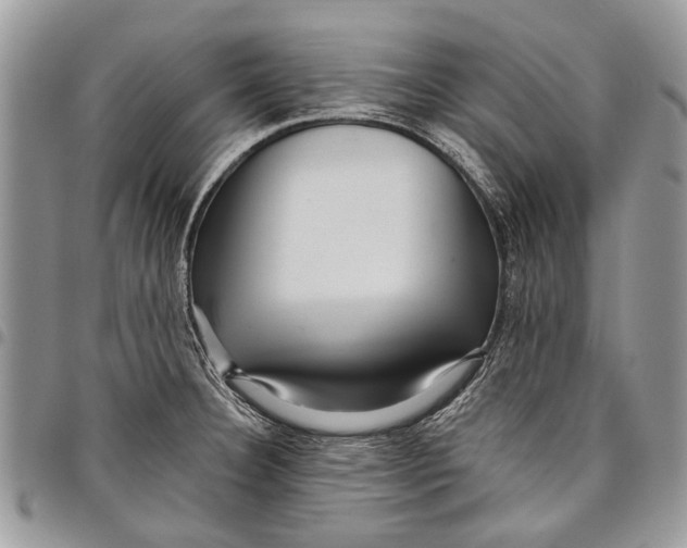 X0000097771332200803281631