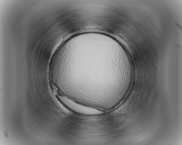 X0000097771333200803281631