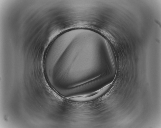 X0000097771334200803281631