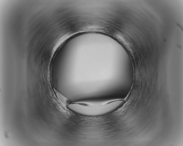 X0000097771336200803281631