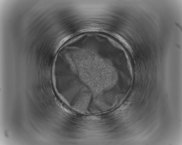 X0000097771337200803281631