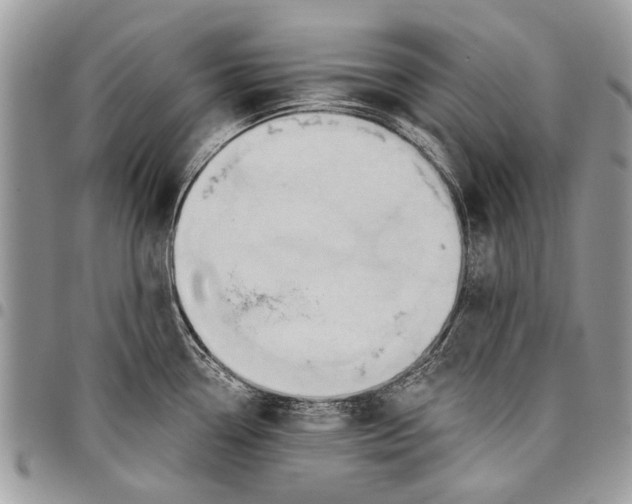 X0000097771338200803281631