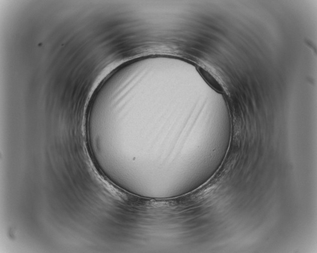 X0000097771339200803281631