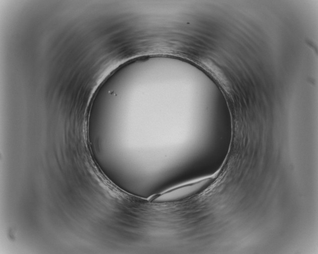 X0000097771340200803281631