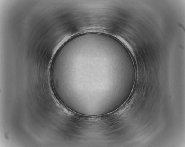 X0000097771341200803281631