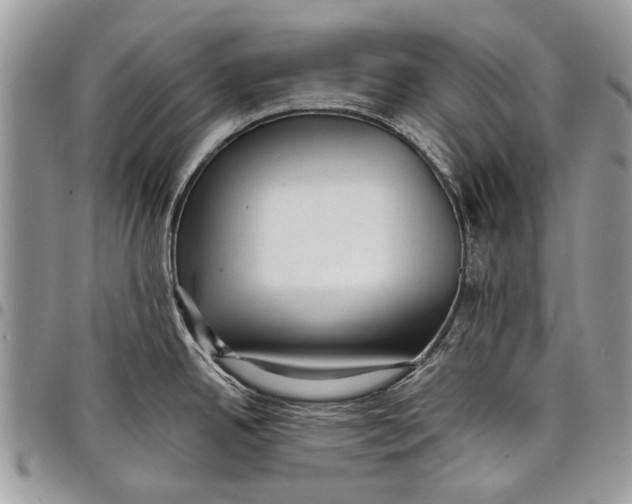 X0000097771342200803281631