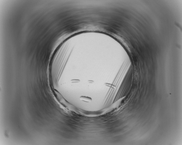 X0000097771343200803281631