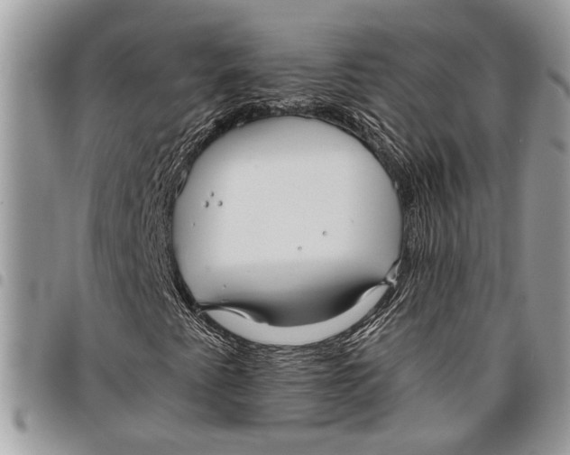 X0000097771345200803281631