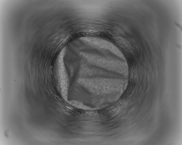 X0000097771346200803281631