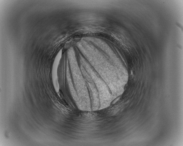 X0000097771348200803281631