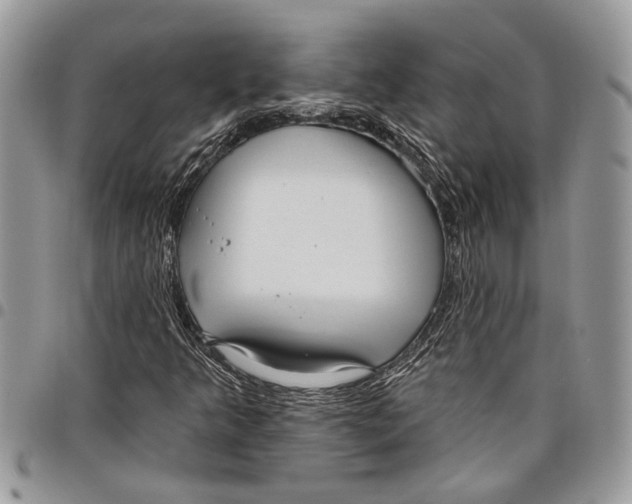 X0000097771349200803281631