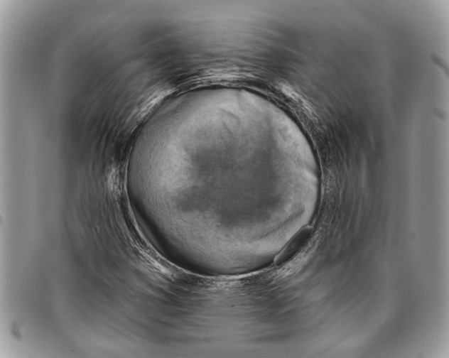 X0000097771353200803281631