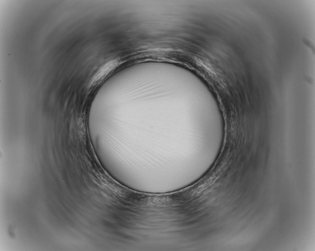 X0000097771354200803281631