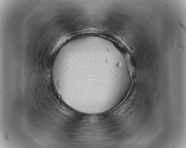 X0000097771355200803281631