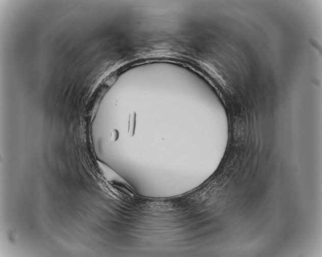 X0000097771356200803281630