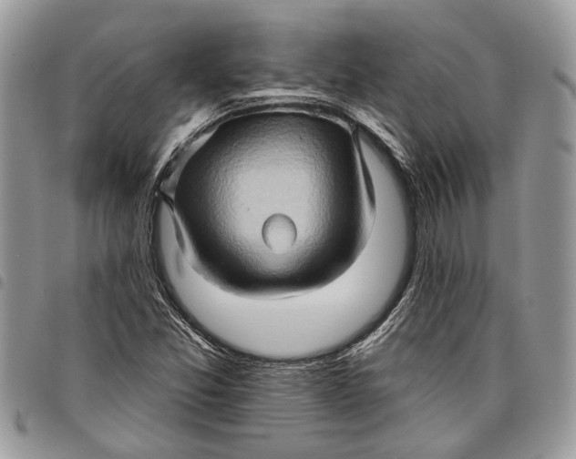 X0000097771357200803281630