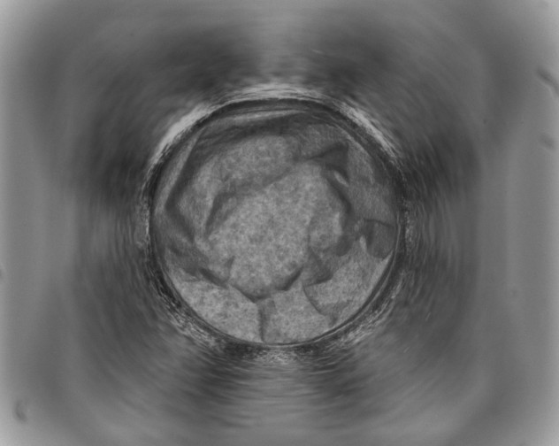 X0000097771358200803281630