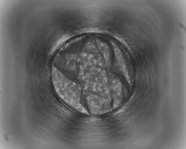 X0000097771359200803281630