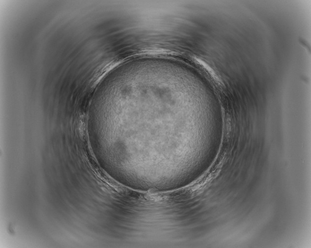 X0000097771361200803281630