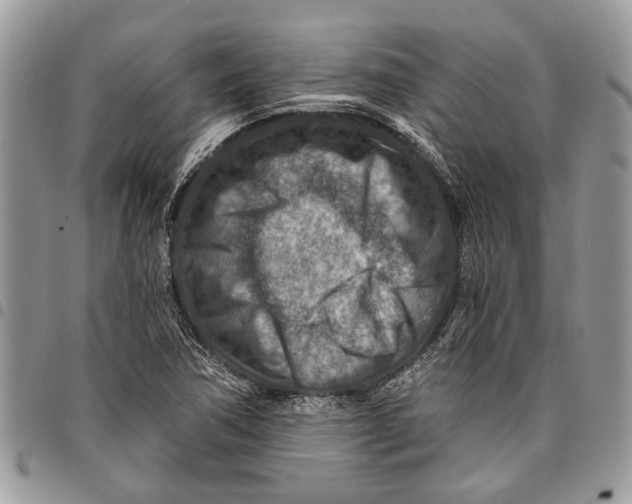 X0000097771362200803281630