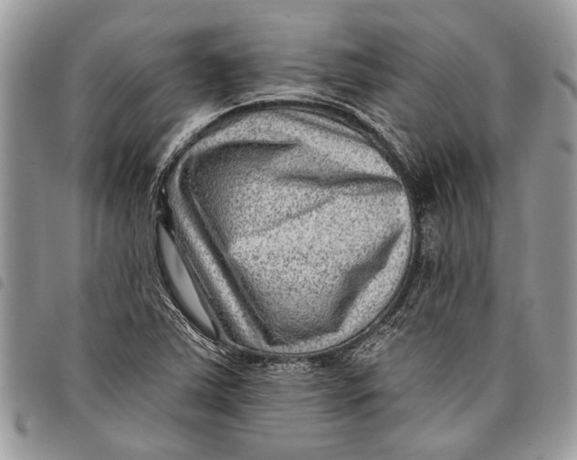 X0000097771363200803281630