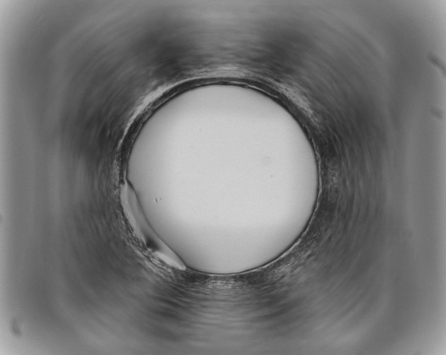 X0000097771364200803281630