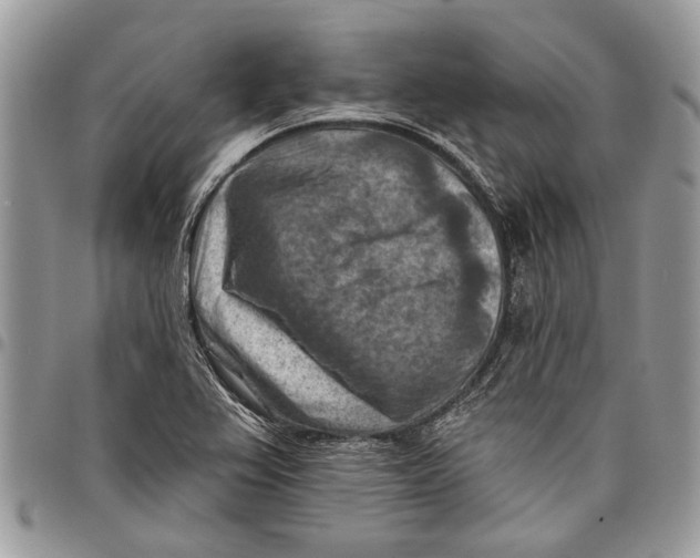 X0000097771367200803281630