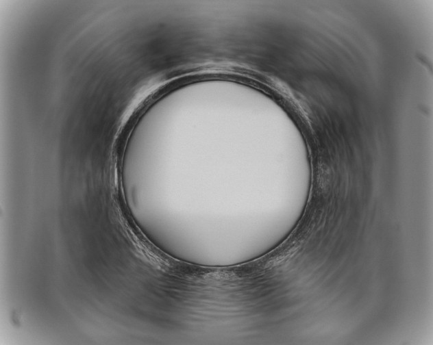 X0000097771368200803281630