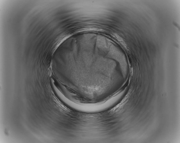 X0000097771369200803281630