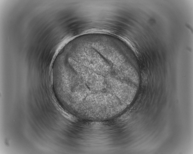 X0000097771371200803281630