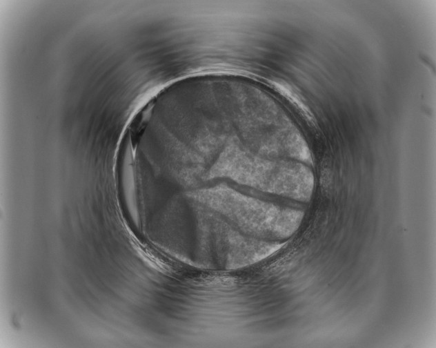 X0000097771372200803281630