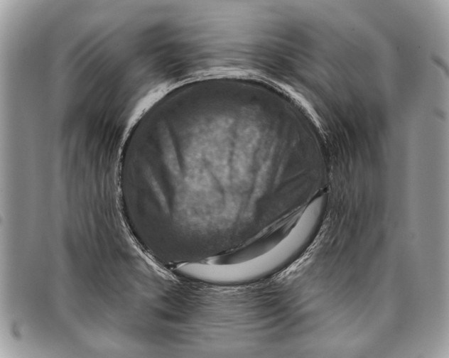 X0000097771373200803281630