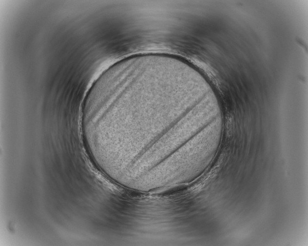 X0000097771374200803281630