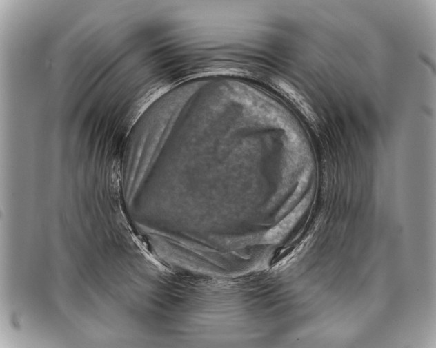 X0000097771377200803281630