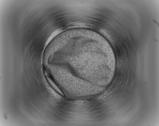 X0000097771378200803281630