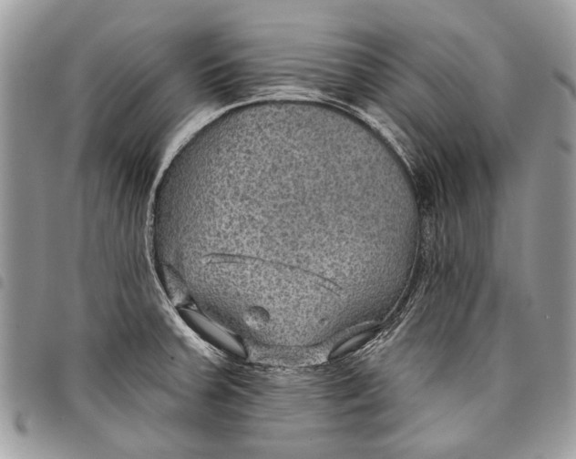 X0000097771379200803281630