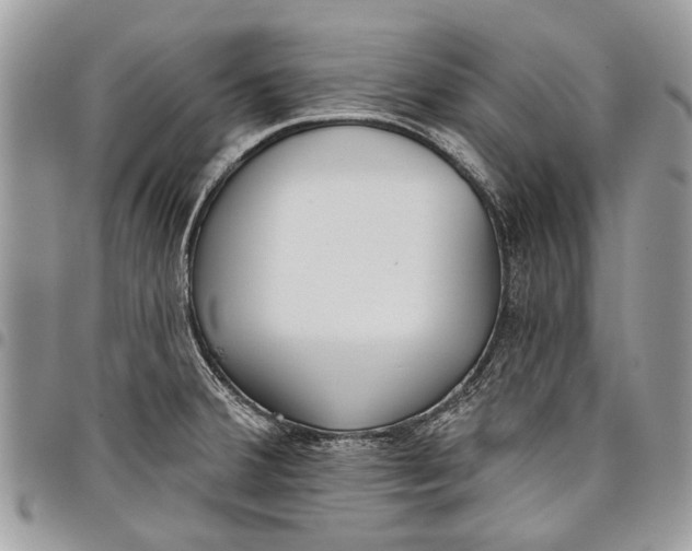 X0000097771380200803281630