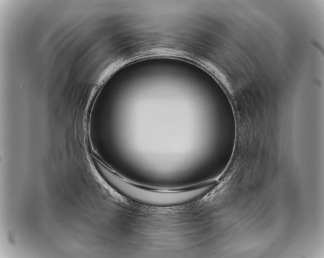 X0000097771381200803281630