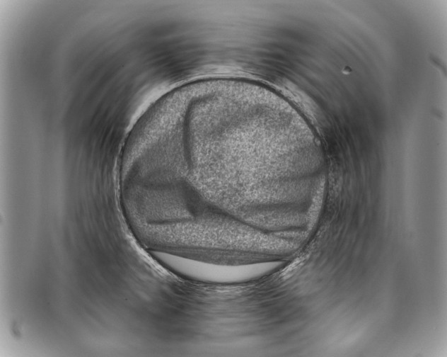 X0000097771382200803281630