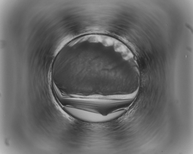 X0000097771383200803281630