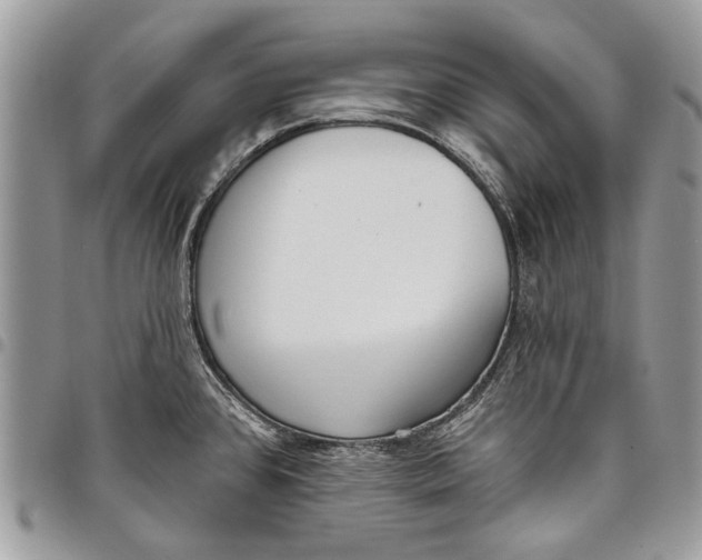 X0000097771384200803281630