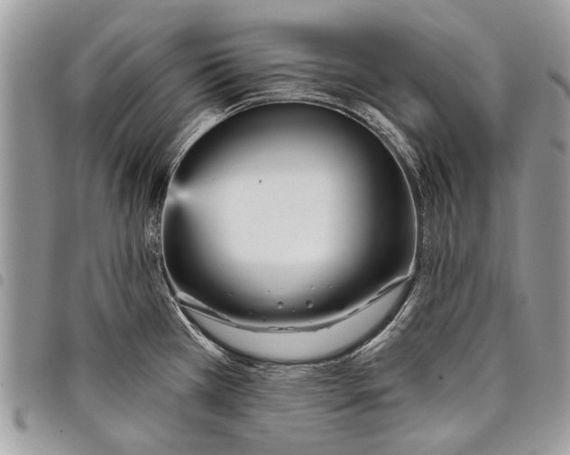 X0000097771385200803281630