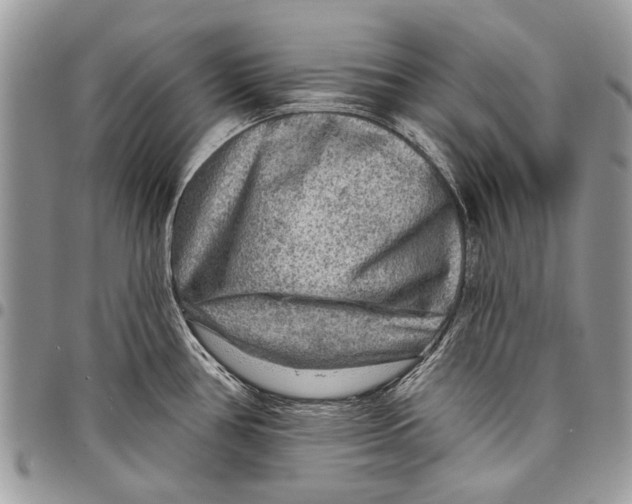 X0000097771386200803281630