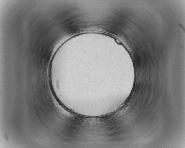 X0000097771387200803281630