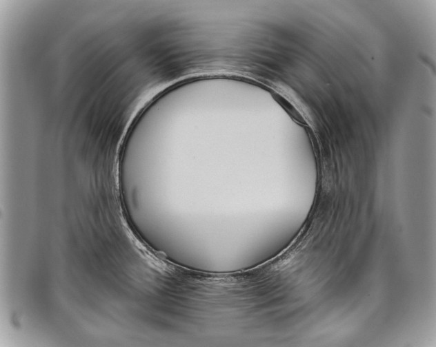 X0000097771388200803281630