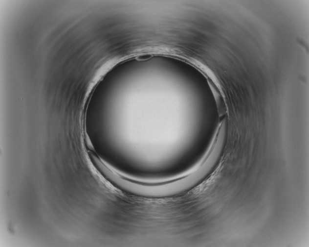 X0000097771389200803281630